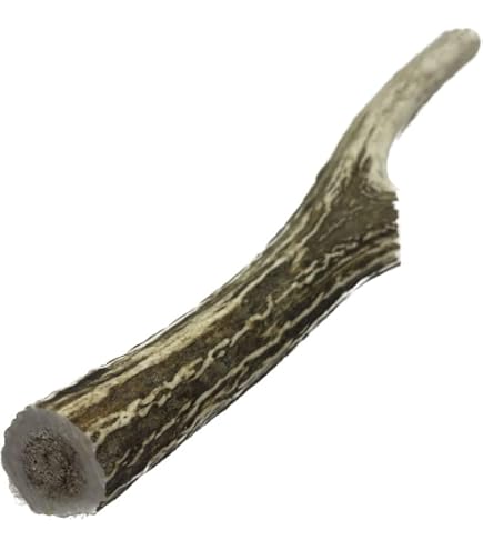 蝦夷鹿の角10本 鹿の角 蝦夷鹿 10本セット No.1 鹿の角蝦夷鹿10本セットNo.1